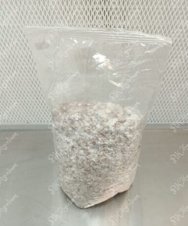 Micelio Profesional Cambodian