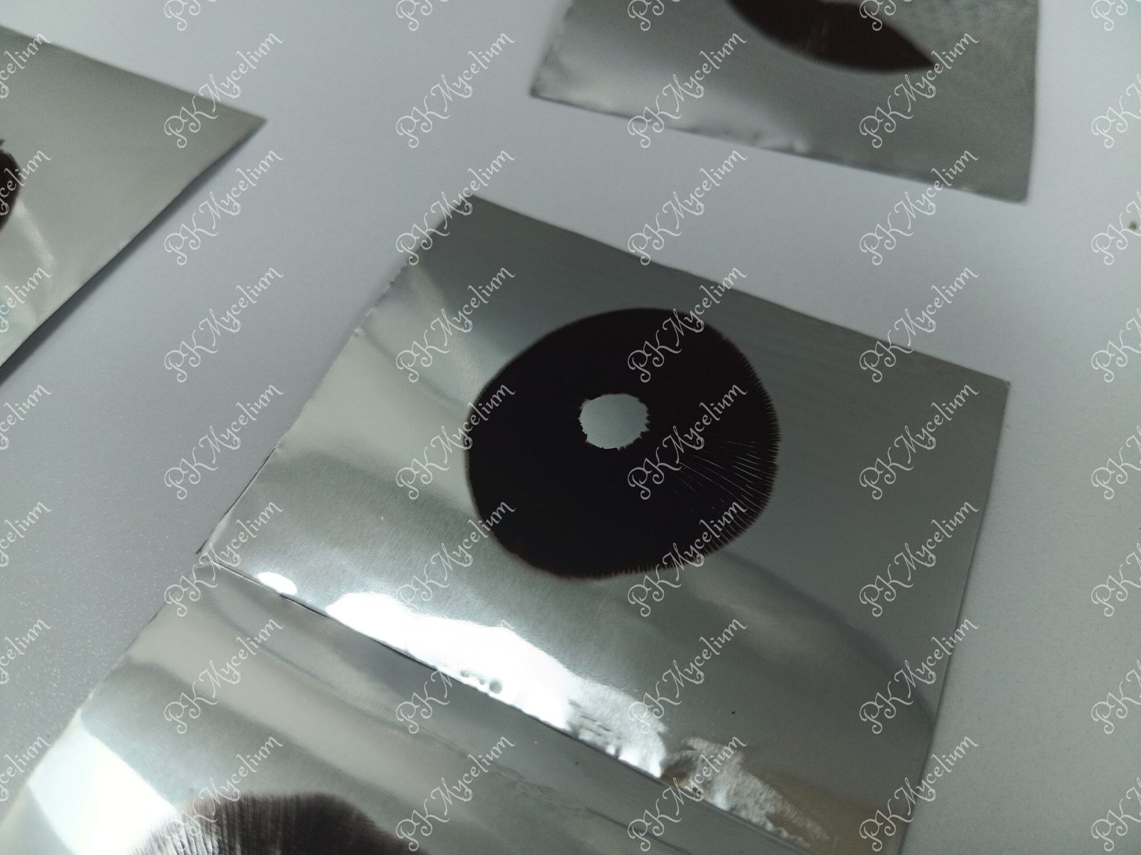 Sellos de Esporas y Swabs Ecuador - Imagen 10