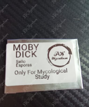 Sellos y Swabs Moby Dick