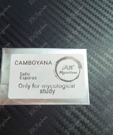 Sellos y Swabs  Camboyana