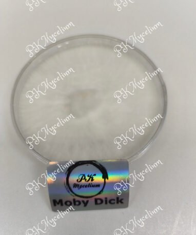 Placa Petri Moby Dick
