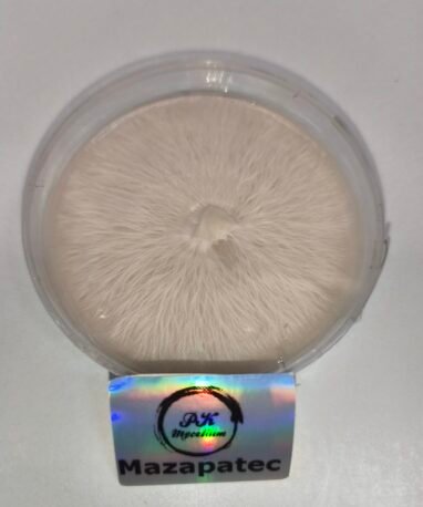 Placas Petri Mazapatec