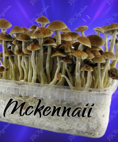 Kit Cultivo Mckennaii