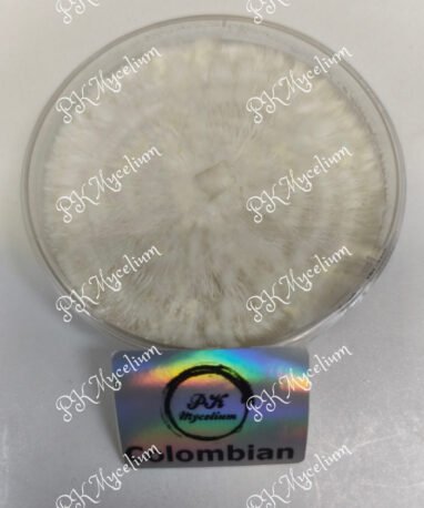 Placa Petri Colombiana